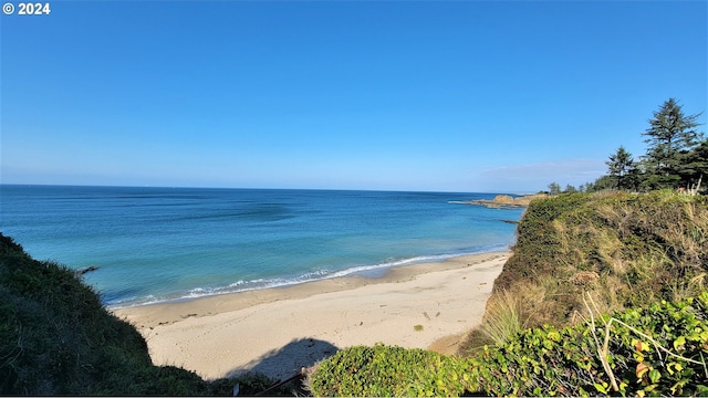 view of water feature with a beach view