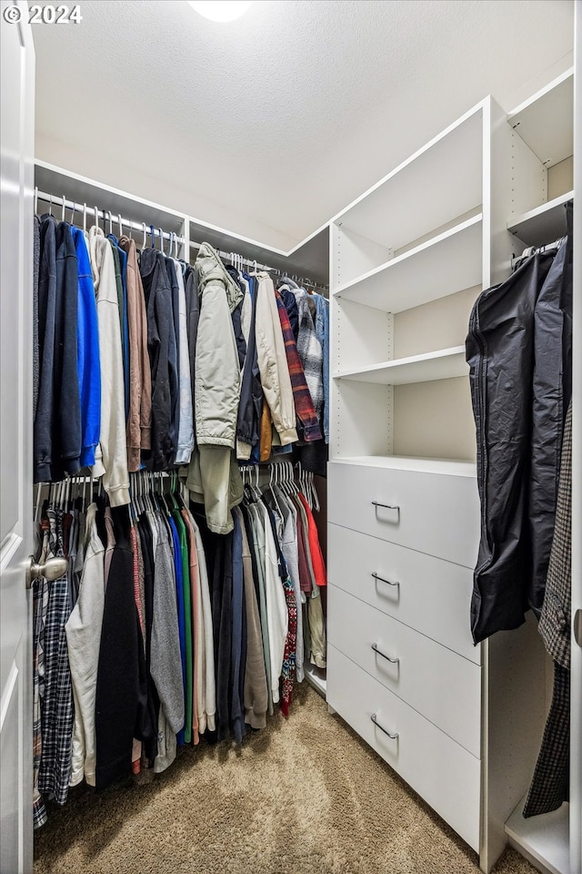 walk in closet with carpet floors