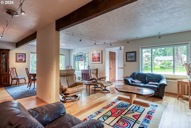 living room featuring a healthy amount of sunlight, light wood-type flooring, and a textured ceiling