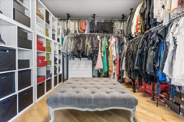 spacious closet with hardwood / wood-style floors