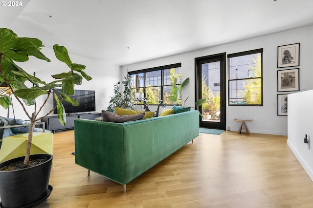 living room with light wood-type flooring