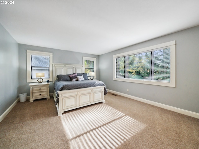 carpeted bedroom featuring multiple windows