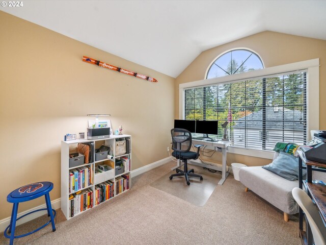 office space featuring lofted ceiling and carpet floors