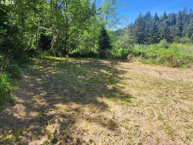 00 Cedar Valley Rd Unit 400, Gold Beach, OR 97444