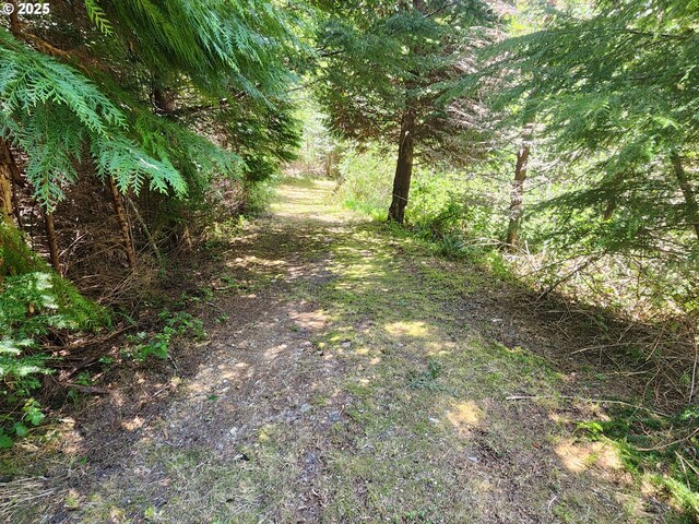 00 Cedar Valley Rd Unit 400, Gold Beach, OR 97444