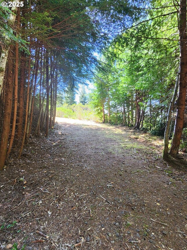 00 Cedar Valley Rd Unit 400, Gold Beach, OR 97444