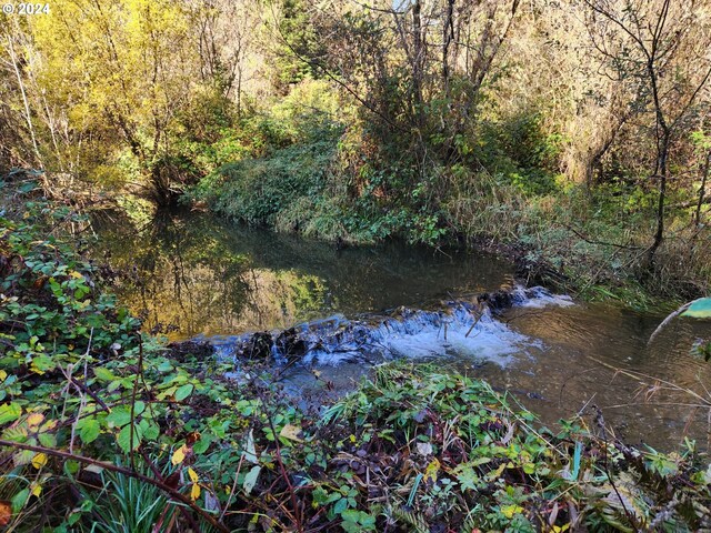 00 Cedar Valley Rd Unit 400, Gold Beach, OR 97444