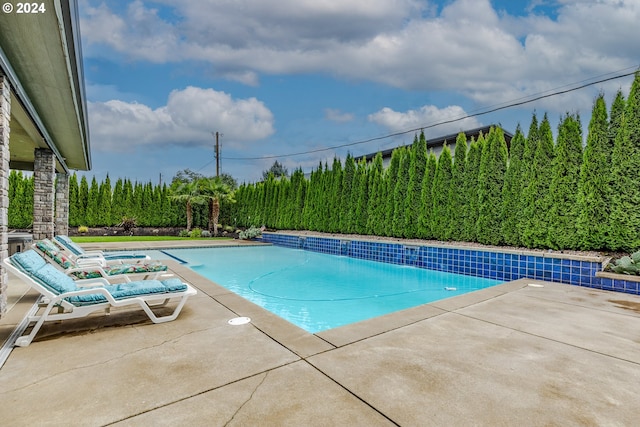 view of swimming pool featuring a patio area