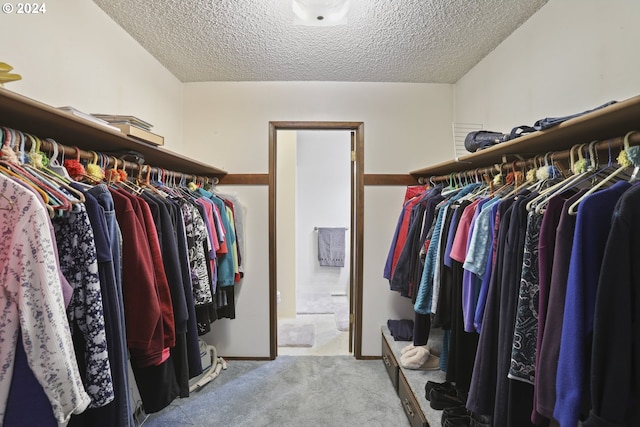 spacious closet with light colored carpet