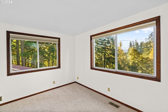 39145 Eagles Rest Rd, Dexter, OR 97431 - carpeted spare room featuring baseboards, a wealth of natural light, and visible vents
