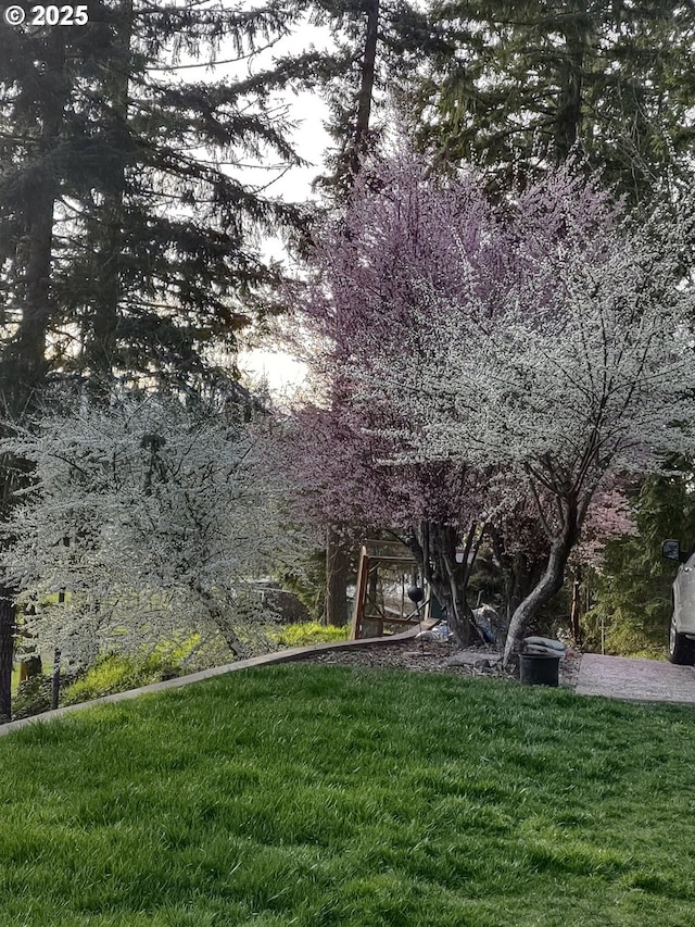 39145 Eagles Rest Rd, Dexter, OR 97431 - view of yard