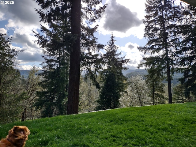 39145 Eagles Rest Rd, Dexter, OR 97431 - mountain view with a view of trees
