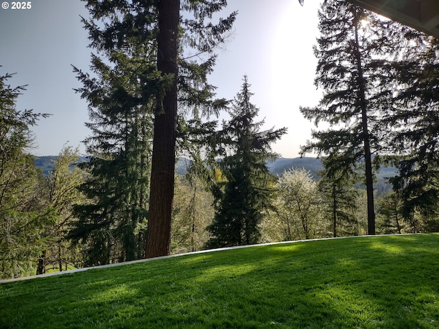 39145 Eagles Rest Rd, Dexter, OR 97431 - property view of mountains featuring a wooded view