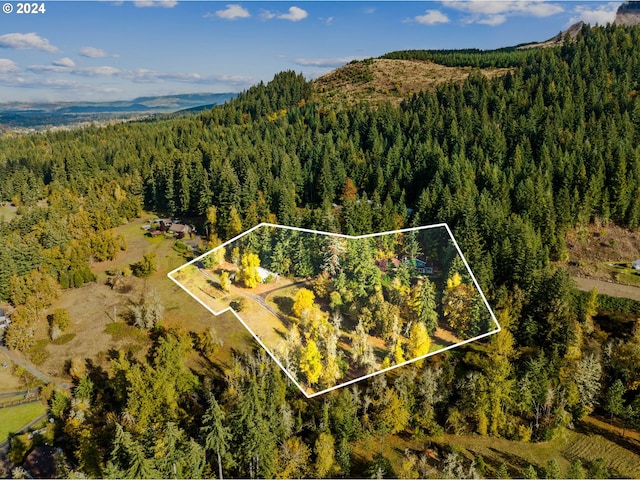 39145 Eagles Rest Rd, Dexter, OR 97431 - drone / aerial view with a mountain view and a view of trees