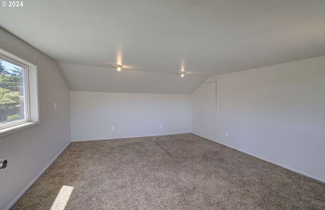 additional living space featuring carpet flooring and vaulted ceiling