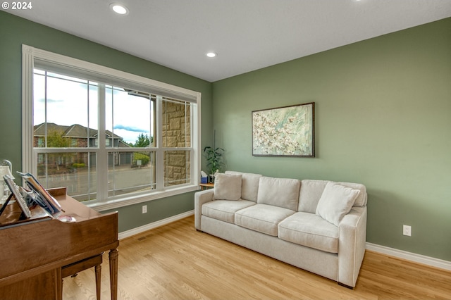 living room featuring light wood-type flooring