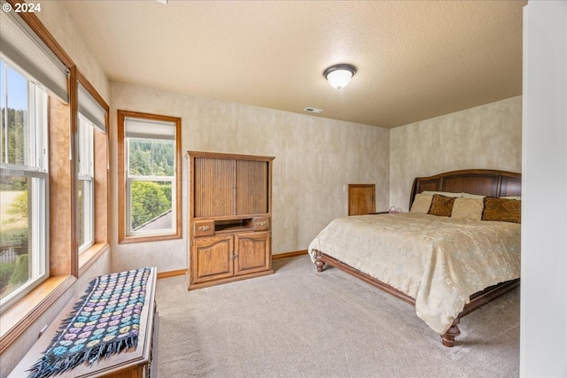 carpeted bedroom with multiple windows and a textured ceiling