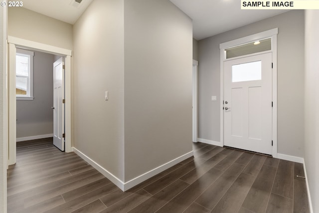 foyer entrance with plenty of natural light and dark wood-type flooring