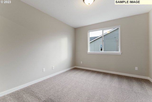 spare room with carpet flooring