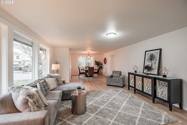 living room featuring hardwood / wood-style floors, an inviting chandelier, and a wealth of natural light