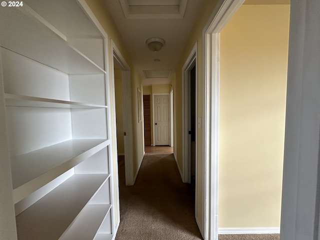 corridor with carpet flooring