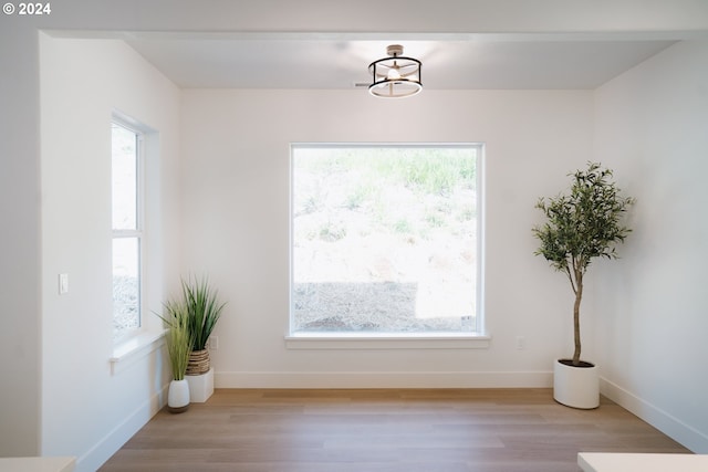 dining space featuring light hardwood / wood-style flooring