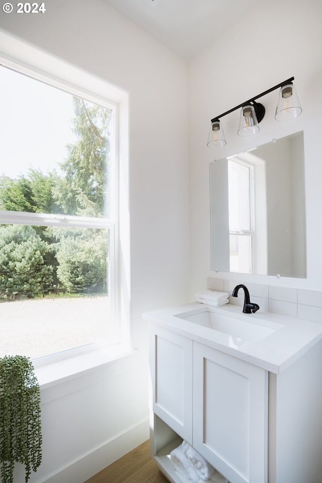 bathroom featuring vanity, baseboards, and wood finished floors