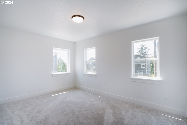 unfurnished room with carpet flooring and a healthy amount of sunlight