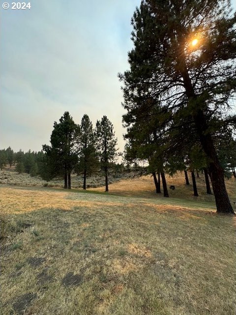 view of local wilderness with a rural view