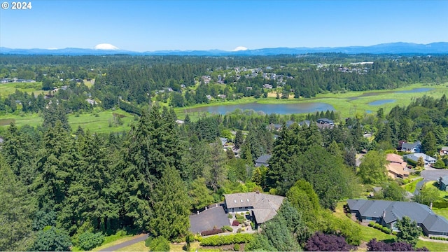 birds eye view of property featuring a water and mountain view