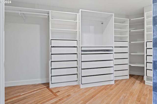 spacious closet with light hardwood / wood-style flooring