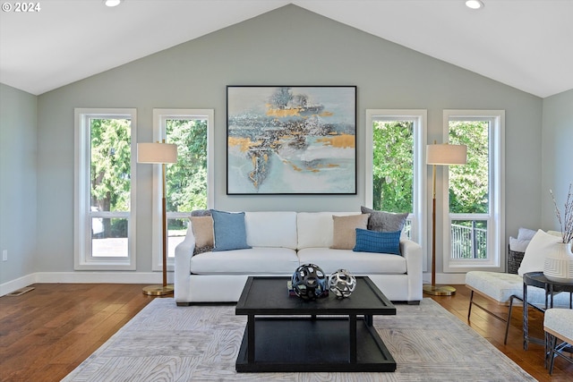 living room with hardwood / wood-style floors and lofted ceiling