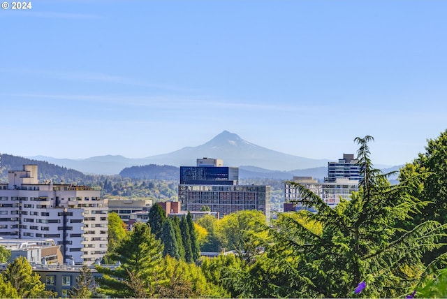 city view with a mountain view