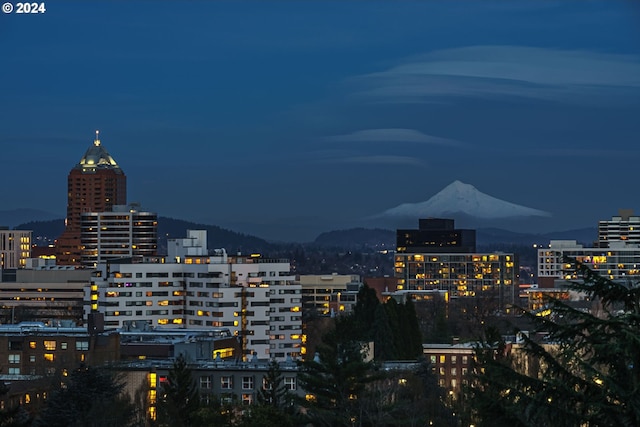 city view featuring a mountain view