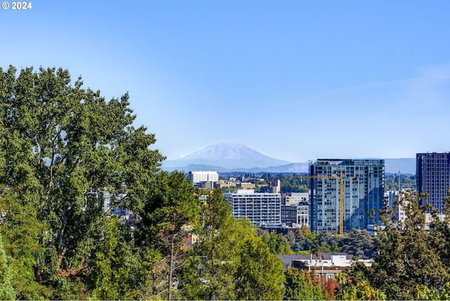 city view featuring a mountain view