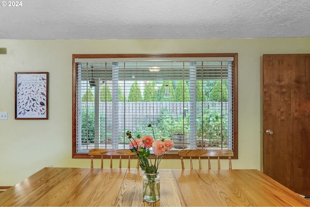 dining space featuring a textured ceiling