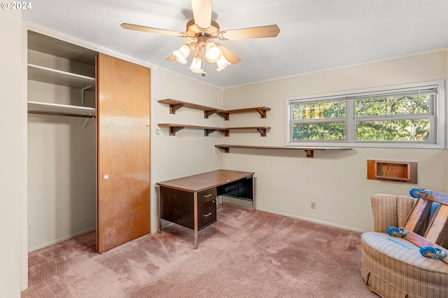 office with light colored carpet and ceiling fan