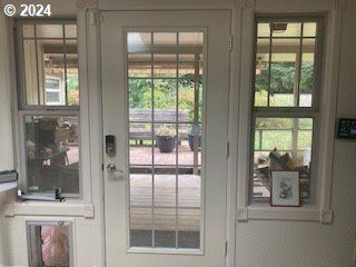 entryway with plenty of natural light