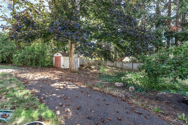 view of yard featuring a storage unit