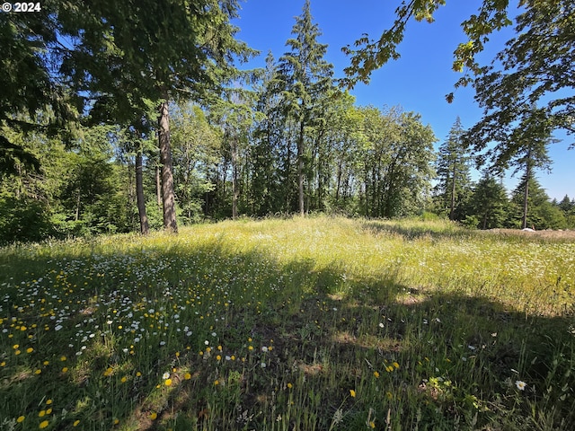 view of landscape