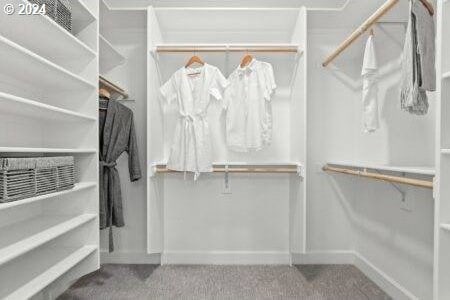 walk in closet featuring carpet flooring