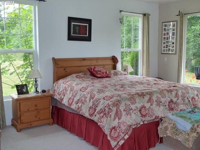 bedroom featuring light colored carpet and multiple windows