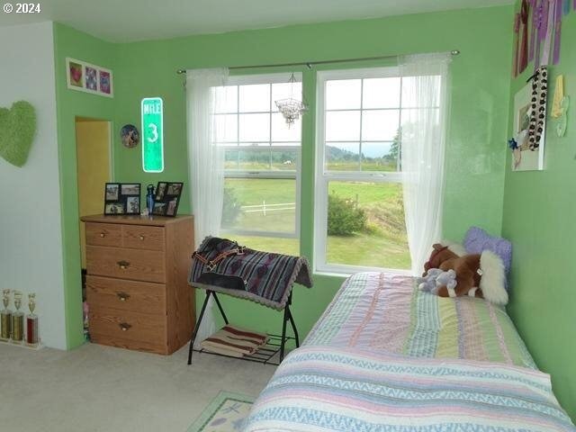 bedroom featuring light colored carpet and multiple windows