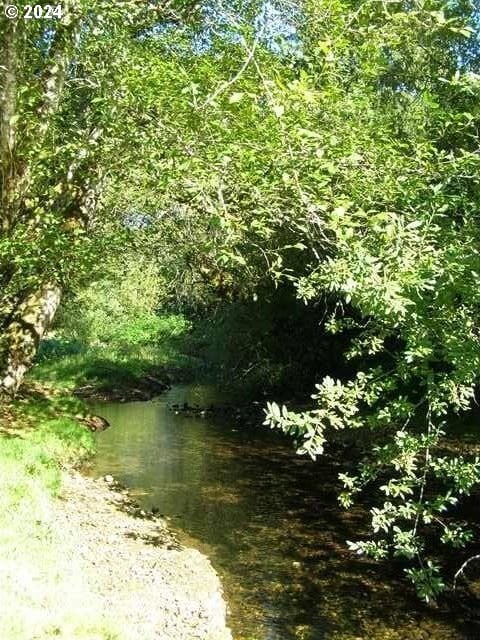 view of nature with a water view