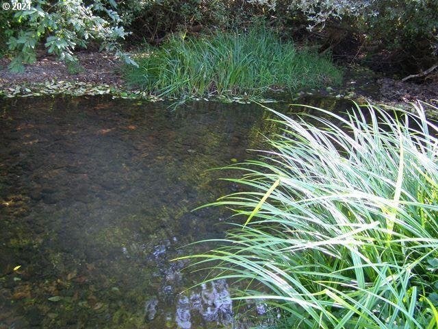 details featuring a water view