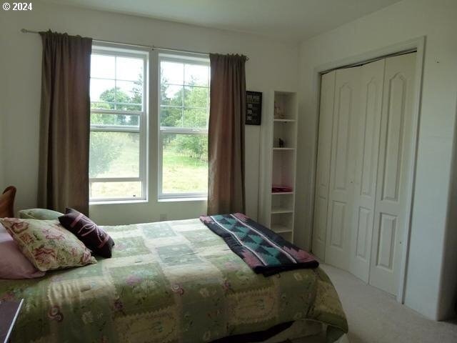 bedroom featuring carpet flooring, a closet, and multiple windows