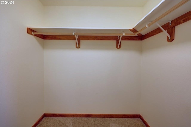 720 G Ave Unit D, Seaside, OR 97138 - spacious closet featuring carpet floors