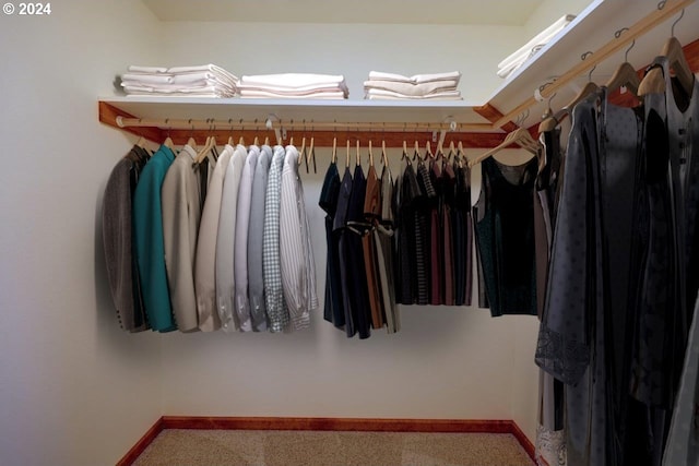 view of walk in closet