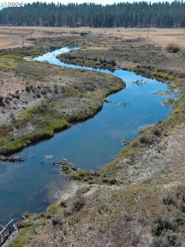 drone / aerial view featuring a water view and a view of trees