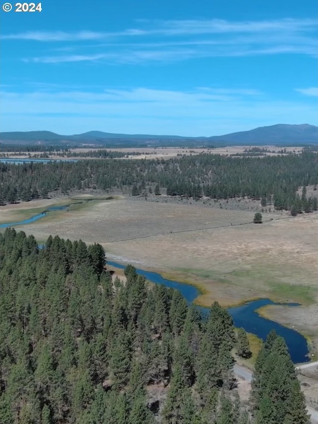 drone / aerial view with a water and mountain view and a wooded view